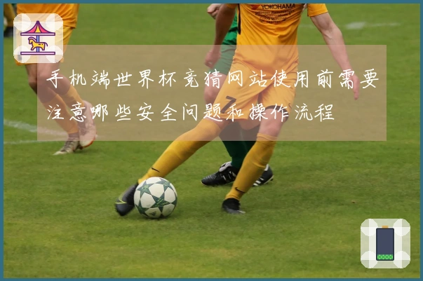 手机端世界杯竞猜网站使用前需要注意哪些安全问题和操作流程