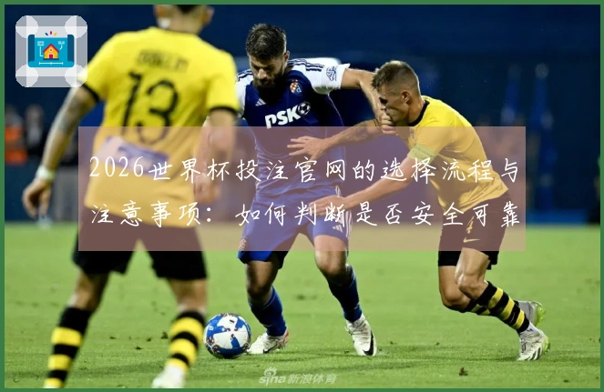 爱游戏体育文章配图