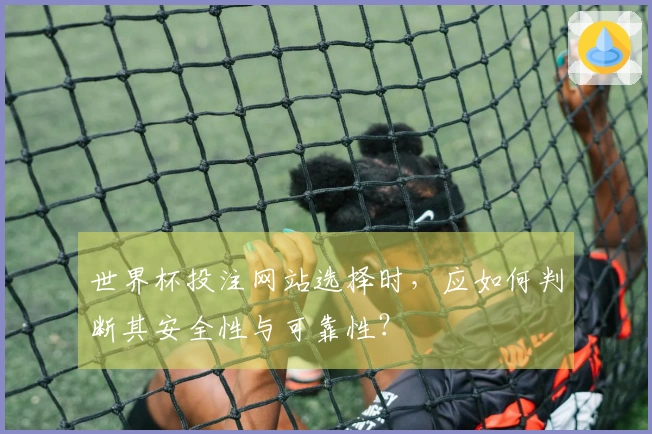 世界杯投注网站选择时，应如何判断其安全性与可靠性？