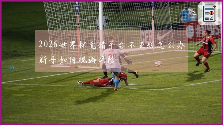 2026世界杯竞猜平台不正规怎么办新手如何规避风险